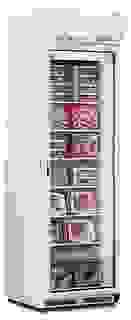 Шкаф морозильный Mondial Elite ICE PLUS N40