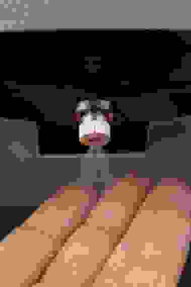 Дезинфектор для рук бесконтактный настенный объемом 1.5 л с амортизатором Kocateq HS BIOPROTECT PRO