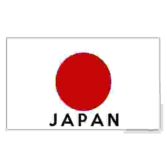 Льдогенератор Hoshizaki IM-21CNE-HC